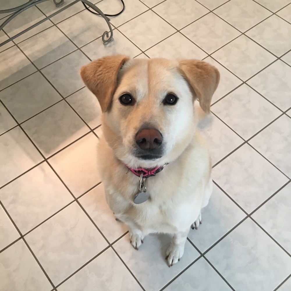 Meet your Posher, Andrea